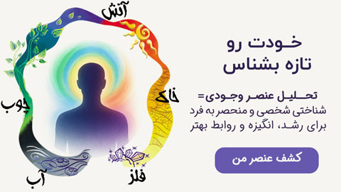 محاسبه عنصر فردی