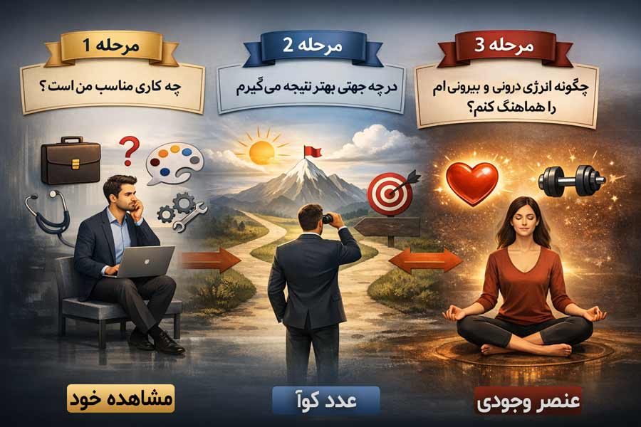 عدد کوا و ثروت